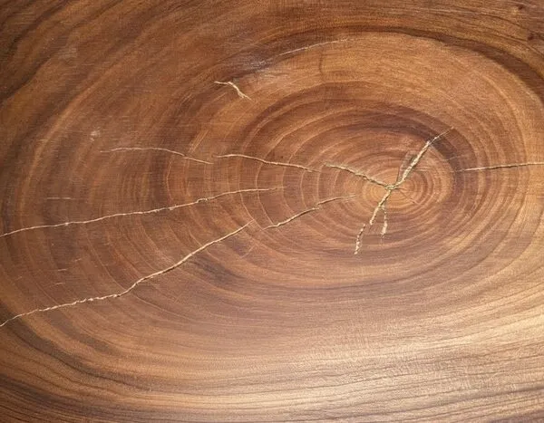 Kinsugi bog oak