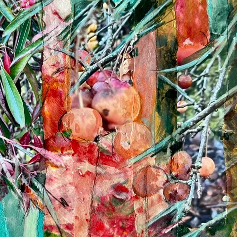 Art by Lynda Roberts