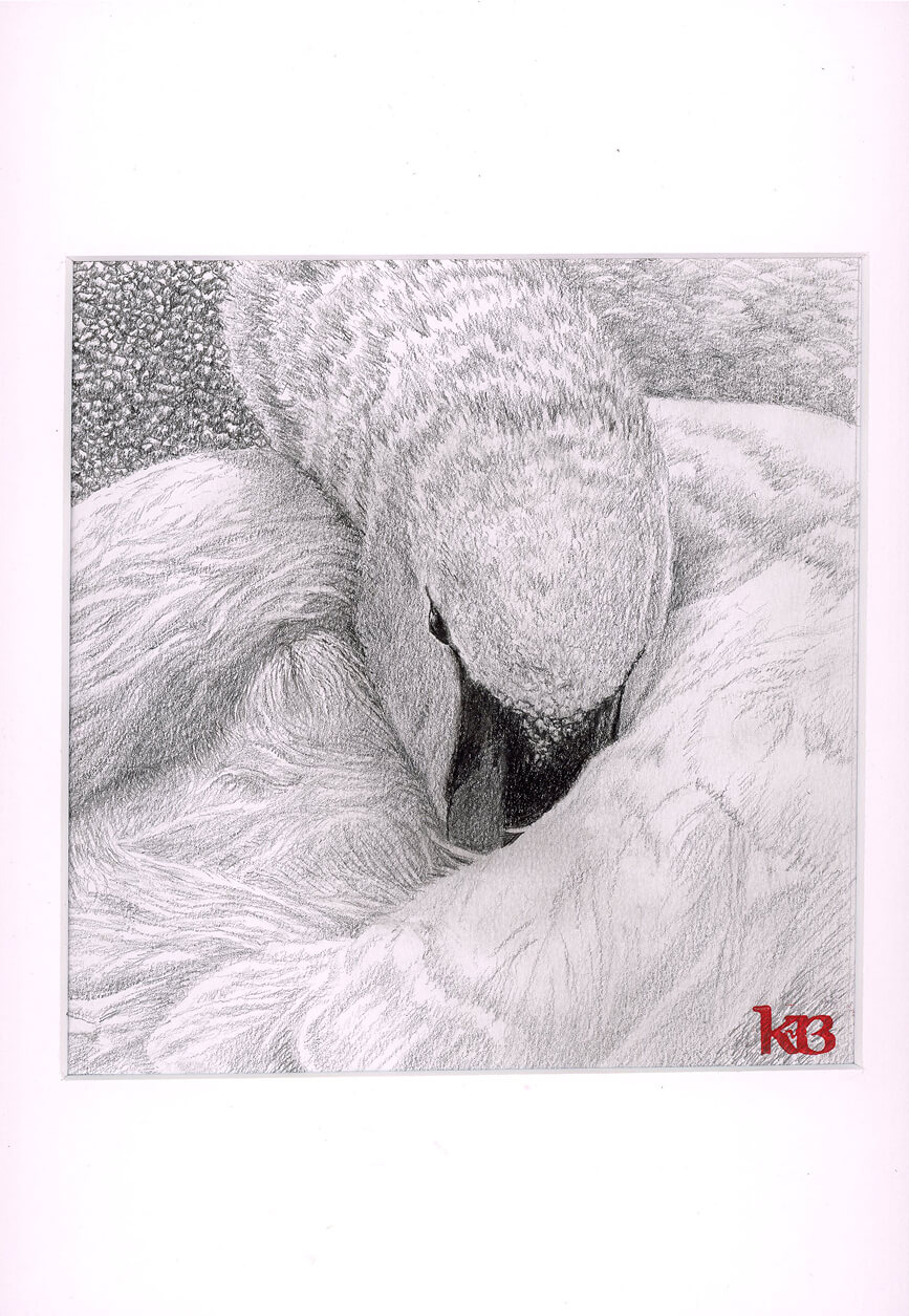 My Happy Place. Graphite on Bristol Board